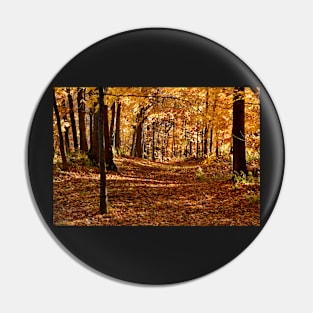 Autumn In Eden Pin