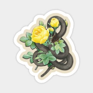 Vintage Black Snake and Yellow Roses Magnet