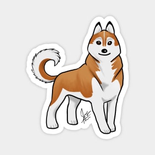 Dog - Siberian Husky - Copper Magnet