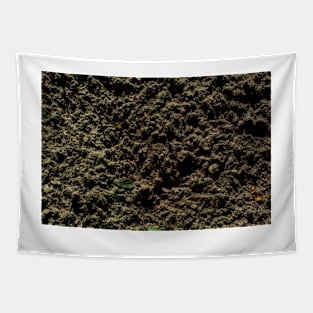 Sand After Rain Tapestry