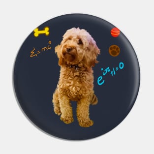 Doggy math with cute Cavoodle, Cavapoo, Cavalier King Charles Spaniel Pin