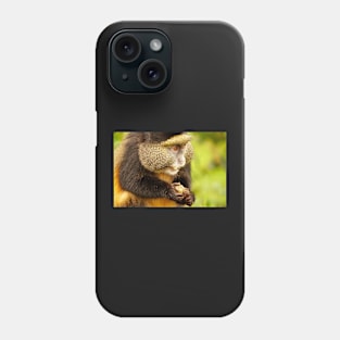 Golden Monkey at Ruwanda Phone Case