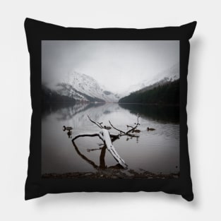 Glendalough Ducks Pillow