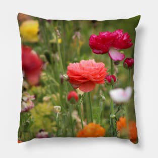 Rainbow of Ranunculus Pillow