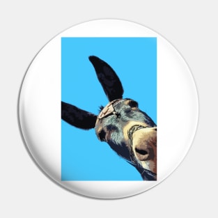 Greek Islands - Donkey Pin