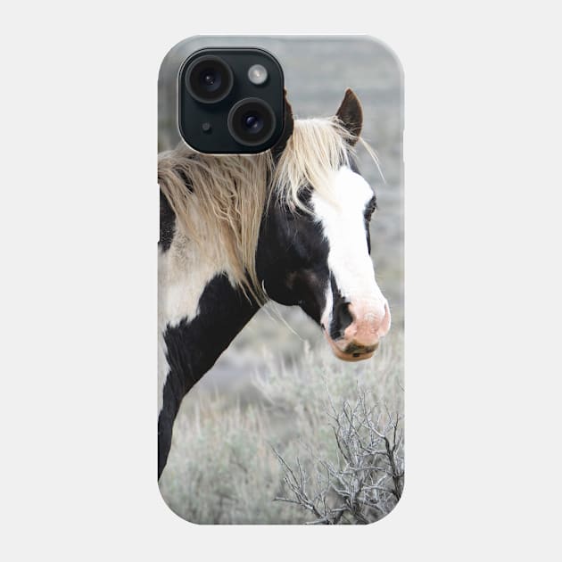 South Steens Wild Stallion Maestro Phone Case by DeniseBruchmanPhotography