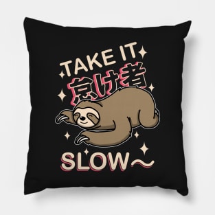 Take It Slow Pillow