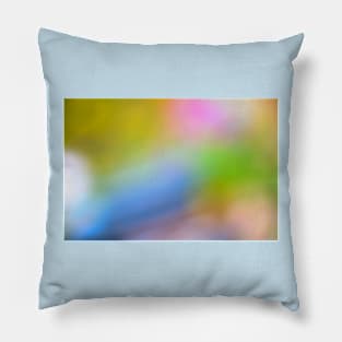 A Splash of Color II Pillow