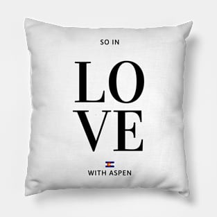 So in love with Aspen Pillow