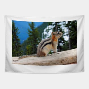 Chipmunk in Banff Alberta in Canada Tapestry