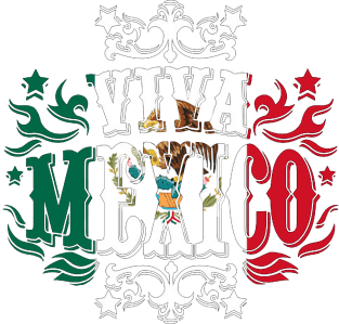 Viiva Mexico T shirt For Cinco De Mayo Magnet