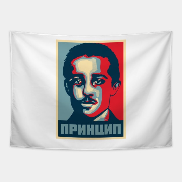 Gavrilo Princip Tapestry by dan89