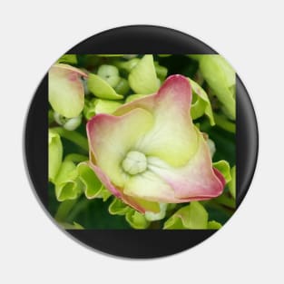 Hortensia Pin