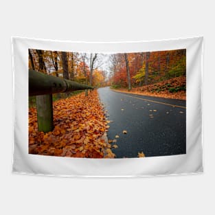 October Road Tapestry