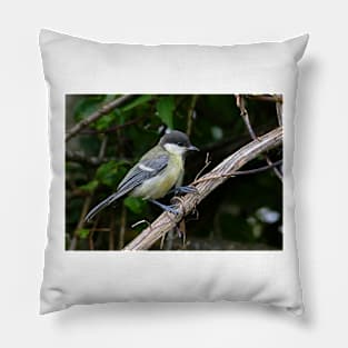 NEW  THE PANASONIC FZ 1000 PAR OKAIO CREATION Pillow