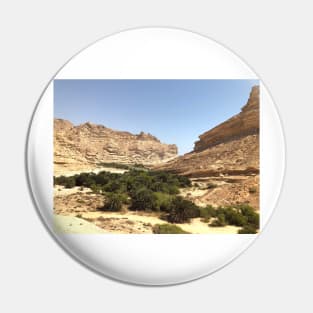 Oasis at Oman Pin