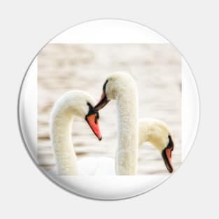 Swans Pin