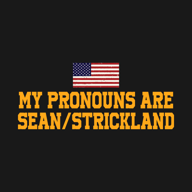 My Pronouns Are Sean, Strickland America Flag by alujino