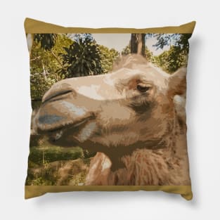 The Malice of the Camel Pillow