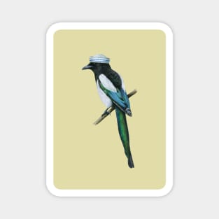 Eurasian magpie Magnet