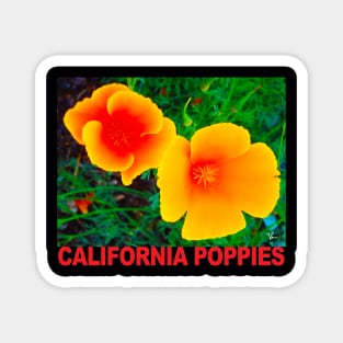 California Poppies Magnet