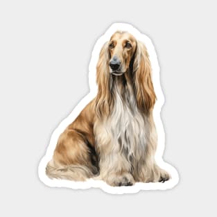 Afghan Hound Magnet