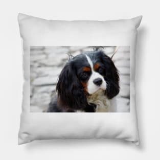 cavalier king charles spaniel black and white second Pillow