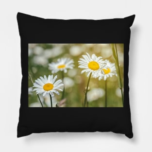 Daisies Pillow