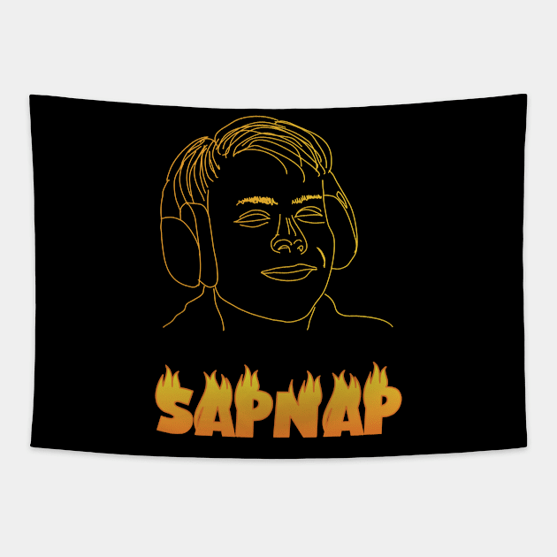 Sapnap Tapestry by MBNEWS