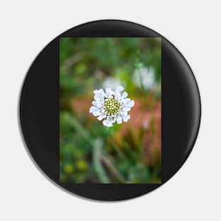 Little White Flower in the Grass Pin