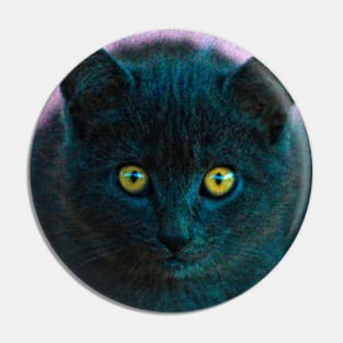 Cute Black Kitten Cat Face Closeup Pin