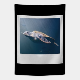 Turtle Cute Underwater Photograph Summer Beach Vibes I Like Turtles Turtle LOVE Tapestry