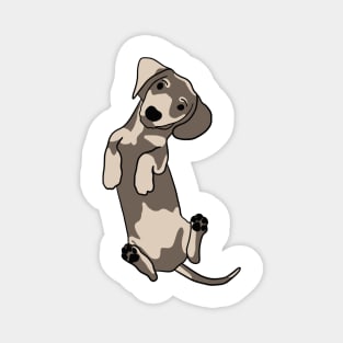 Happy dachshund illustration Magnet