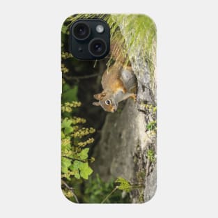 Red Squirrel Phone Case