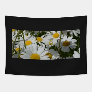 A Field of Daisies Tapestry