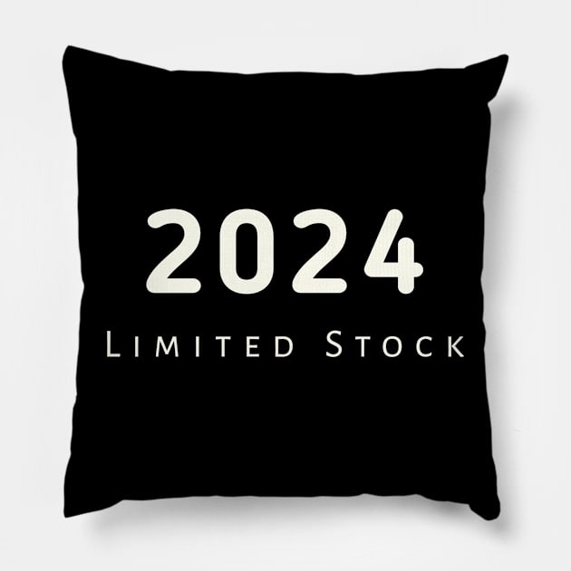 2024 Limited Edition Pillow by Z And Z