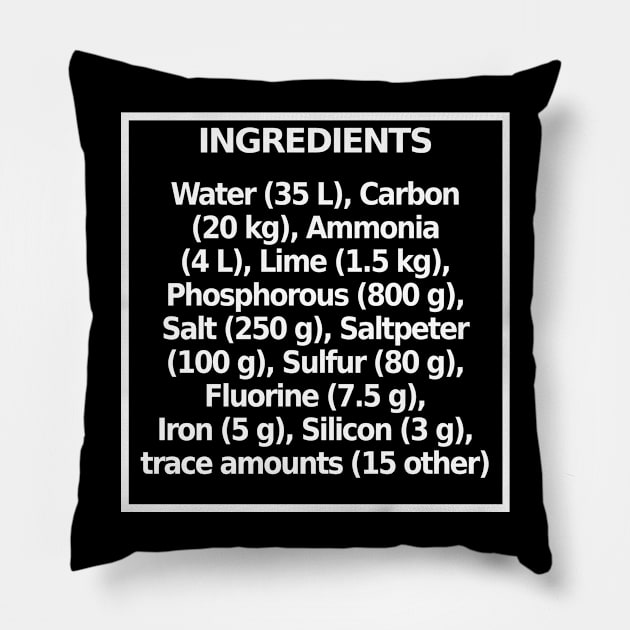 Ingredients (dark) Pillow by nochi