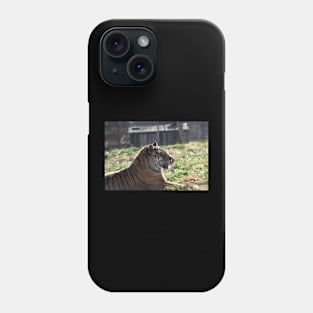 Funny Tiger Phone Case