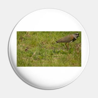 121017 Lapwing Pin