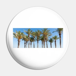 Row of tropical feeling palm trees against blue sky with luch green fronds. Pin