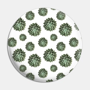 Green Succulent White Background Pattern Pin