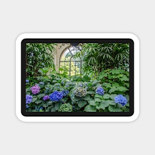 Conservatory Garden Magnet