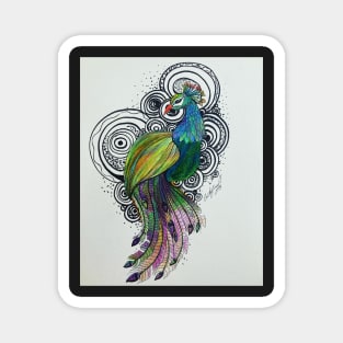 Colored Peacock Zentangle Magnet