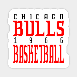 Chicago Bulls Classic Magnet