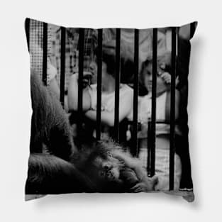 Vintage Baby Orangutan Pillow