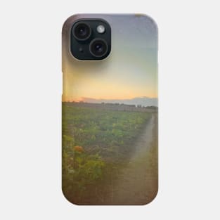 The Road to Autumn Phone Case