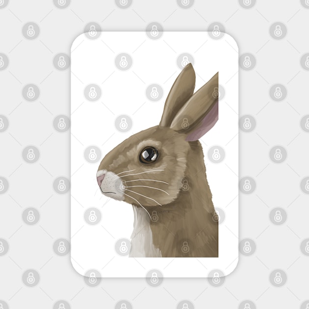 Wild Rabbit up close Magnet by Xetalo