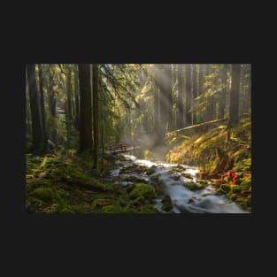 Sol Duc Lightbeams T-Shirt