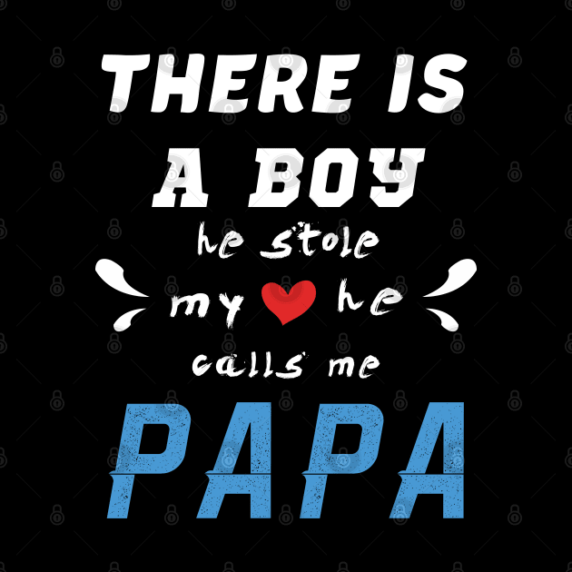 Papa Gifts Shirts from Grandson, he Stole My Heart by CareTees