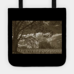 Connecticut Valley Hospital Cemetery Tote